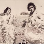 श्रीदेवी के साथ कमल हासन फिल्म 16 वायथिनइल में 