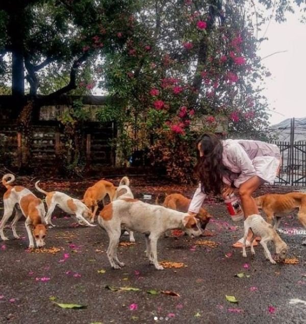 Maana Patel feeding stray dogs