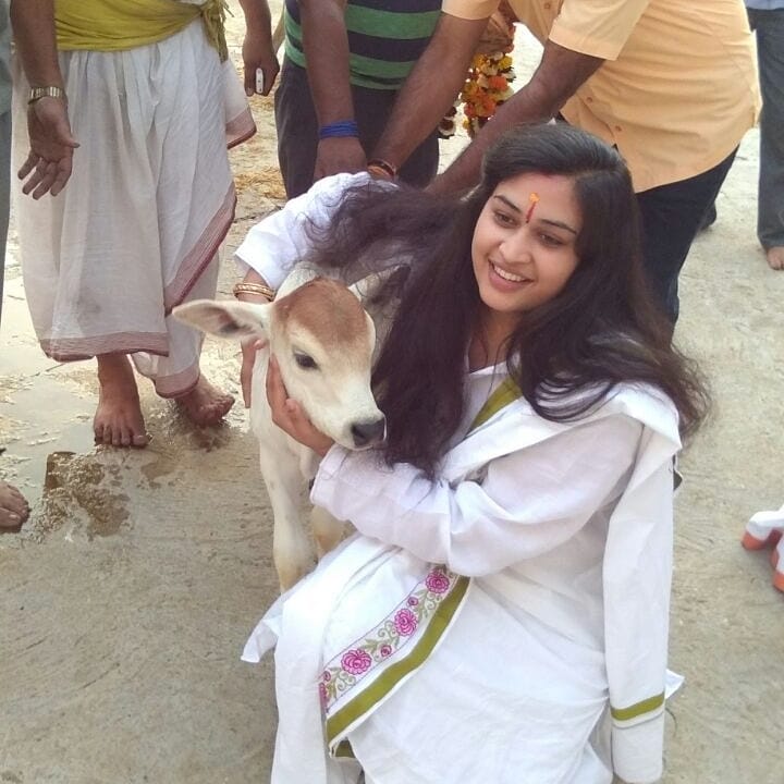 Prachi Devi cuddling a calf