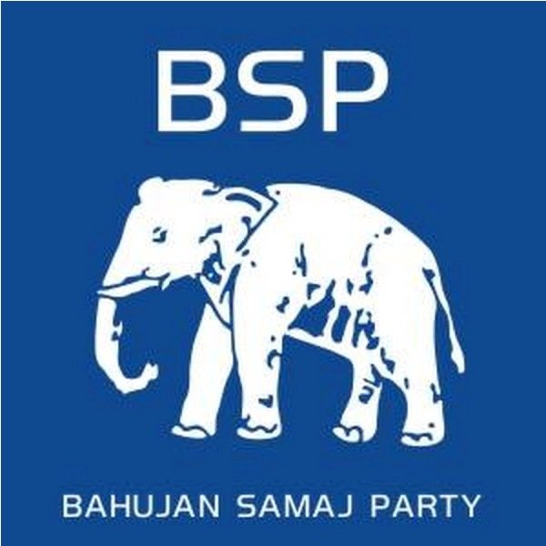 Bahujan Samaj Party flag