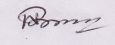N. Biren Singh's signature