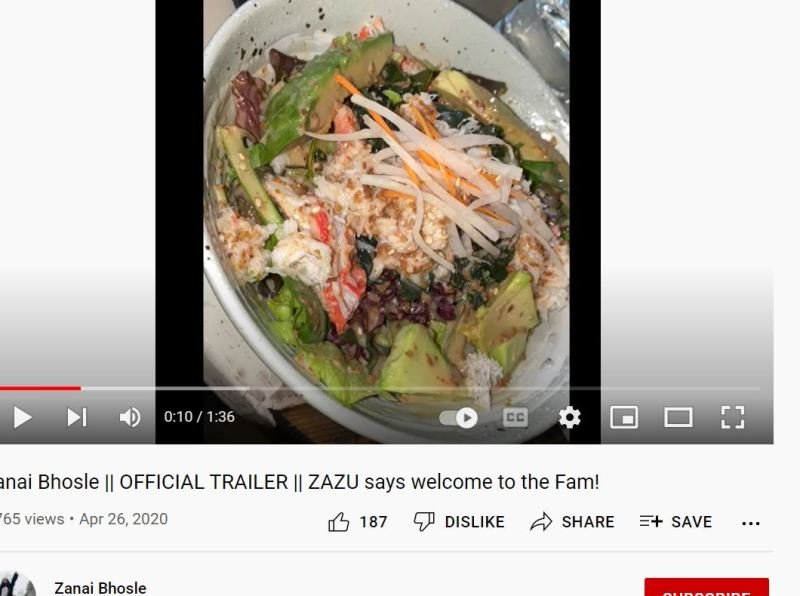 Zanai Bhosle stated her food habit on her YouTube channe