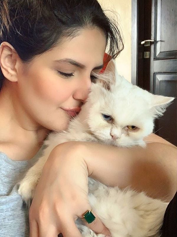 Zareen Khan with her pet cat