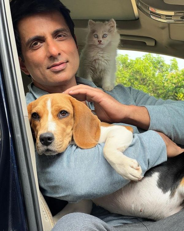 Sonu Sood with his pet dog and pet cat