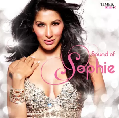 In December 2009, Choudhary launched his album Sound of Sophie